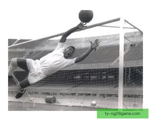 罗马将提前终止贝利租借返维拉